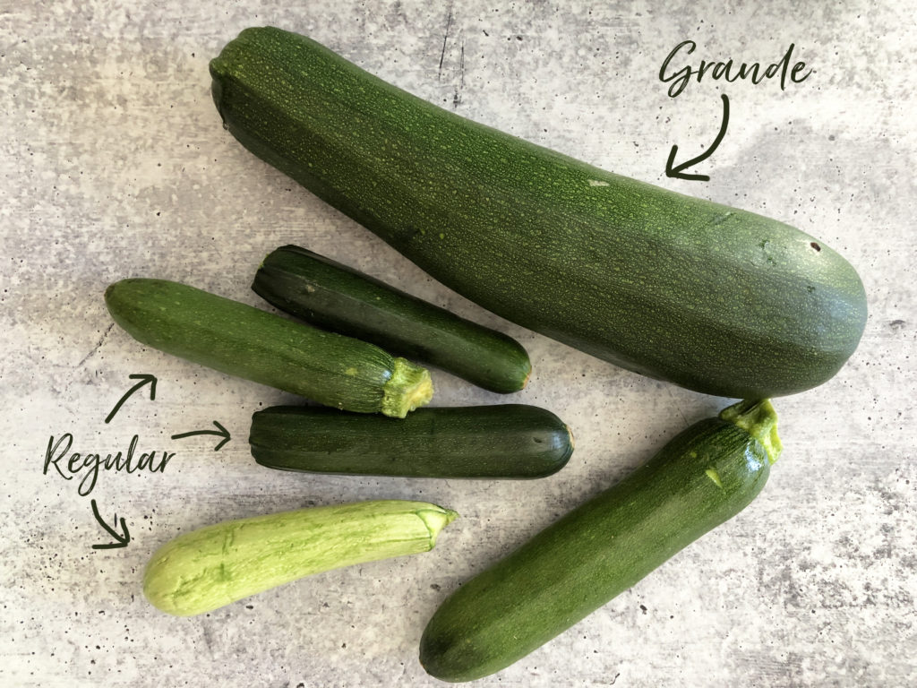 Varying sizes of zucchini from my garden, one substantially larger than the other 5.