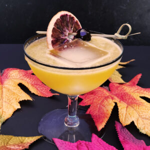 Modern Whisky Sour Cocktail